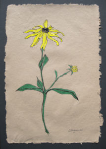 Shelley's artwork, titled "Black Eyed Susan"